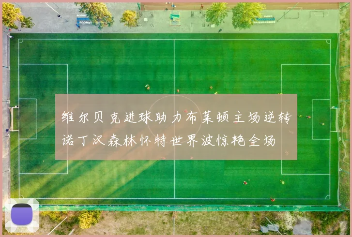 维尔贝克进球助力布莱顿主场逆转诺丁汉森林怀特世界波惊艳全场