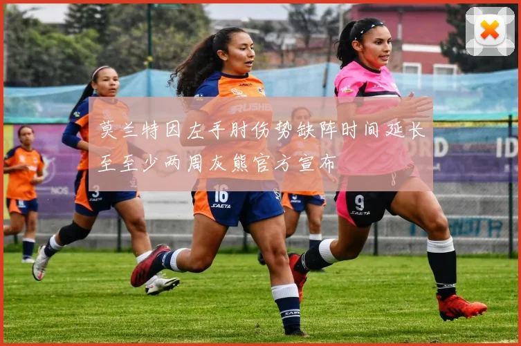 莫兰特因左手肘伤势缺阵时间延长至至少两周灰熊官方宣布