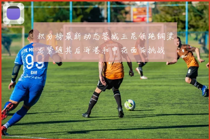 积分榜最新动态蓉城玉昆领跑铜梁龙紧随其后海港和申花面临挑战