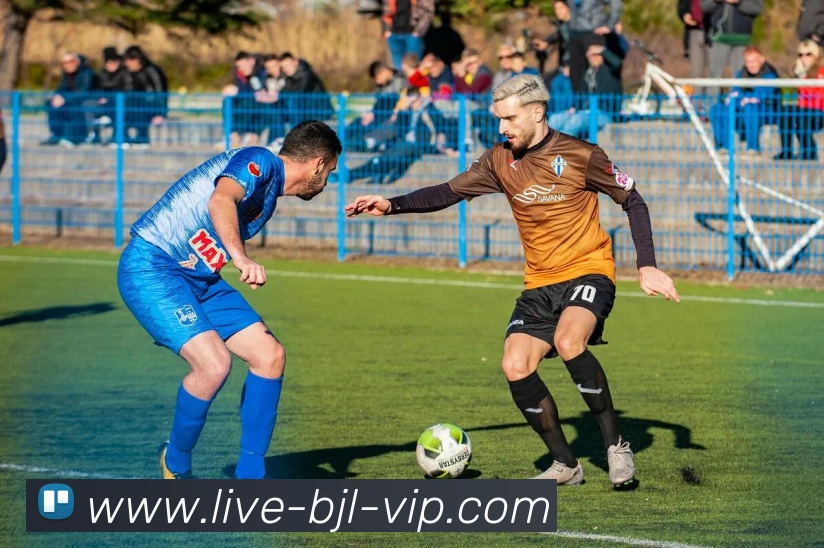 真人百家乐网站平台生态图