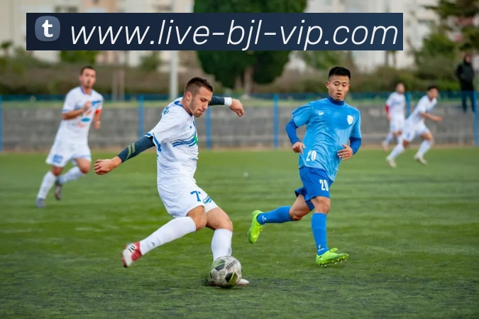 真人百家乐网站全站App